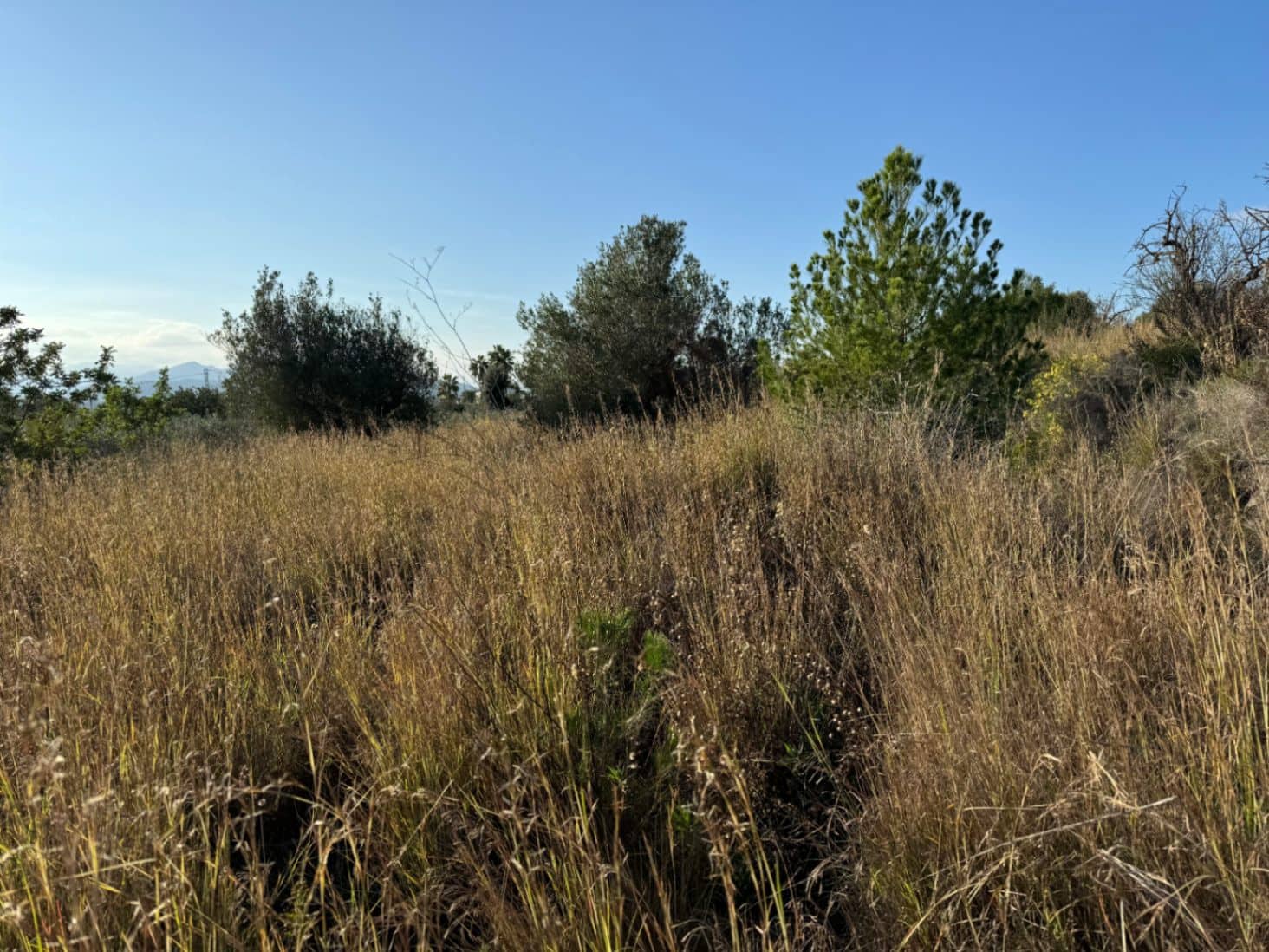 3 chambre Finca/Maison de Campagne à vendre à Javea / Xabia avec garage - 339 500 € (Ref: 8834003)