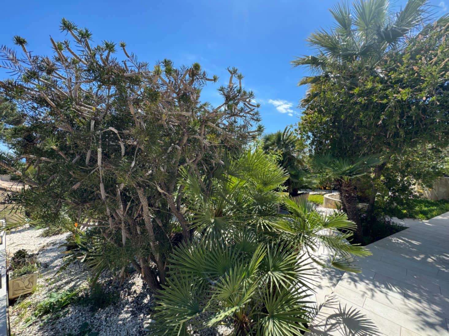 3 Zimmer Villa zu verkaufen in Cumbre del Sol mit Pool Garage - 530.000 € (Ref: 8903153)