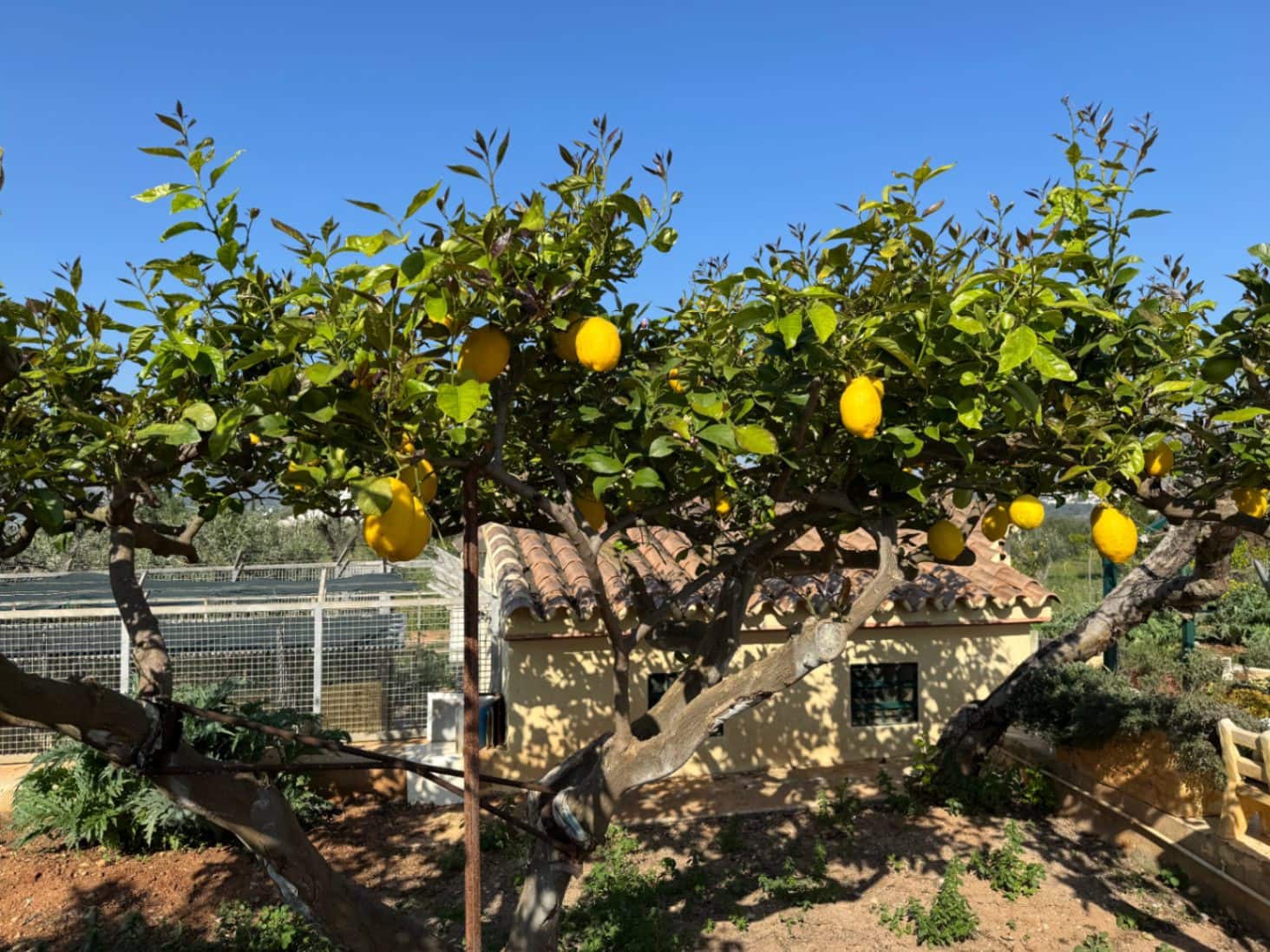 4 soveværelse Finca/Landehus til salg i Benissa med swimmingpool garage - € 650.000 (Ref: 8939301)