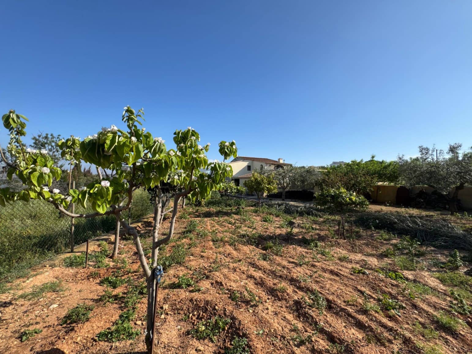 4 soveværelse Finca/Landehus til salg i Benissa med swimmingpool garage - € 650.000 (Ref: 8939301)