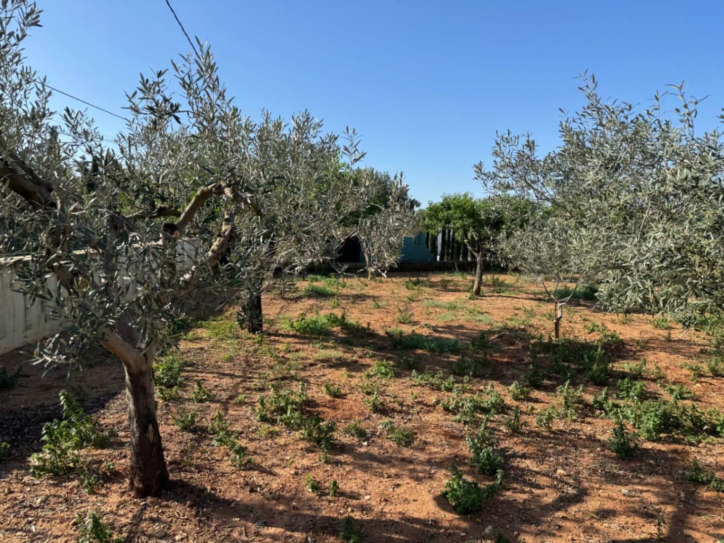 4 soveværelse Finca/Landehus til salg i Benissa med swimmingpool garage - € 650.000 (Ref: 8939301)