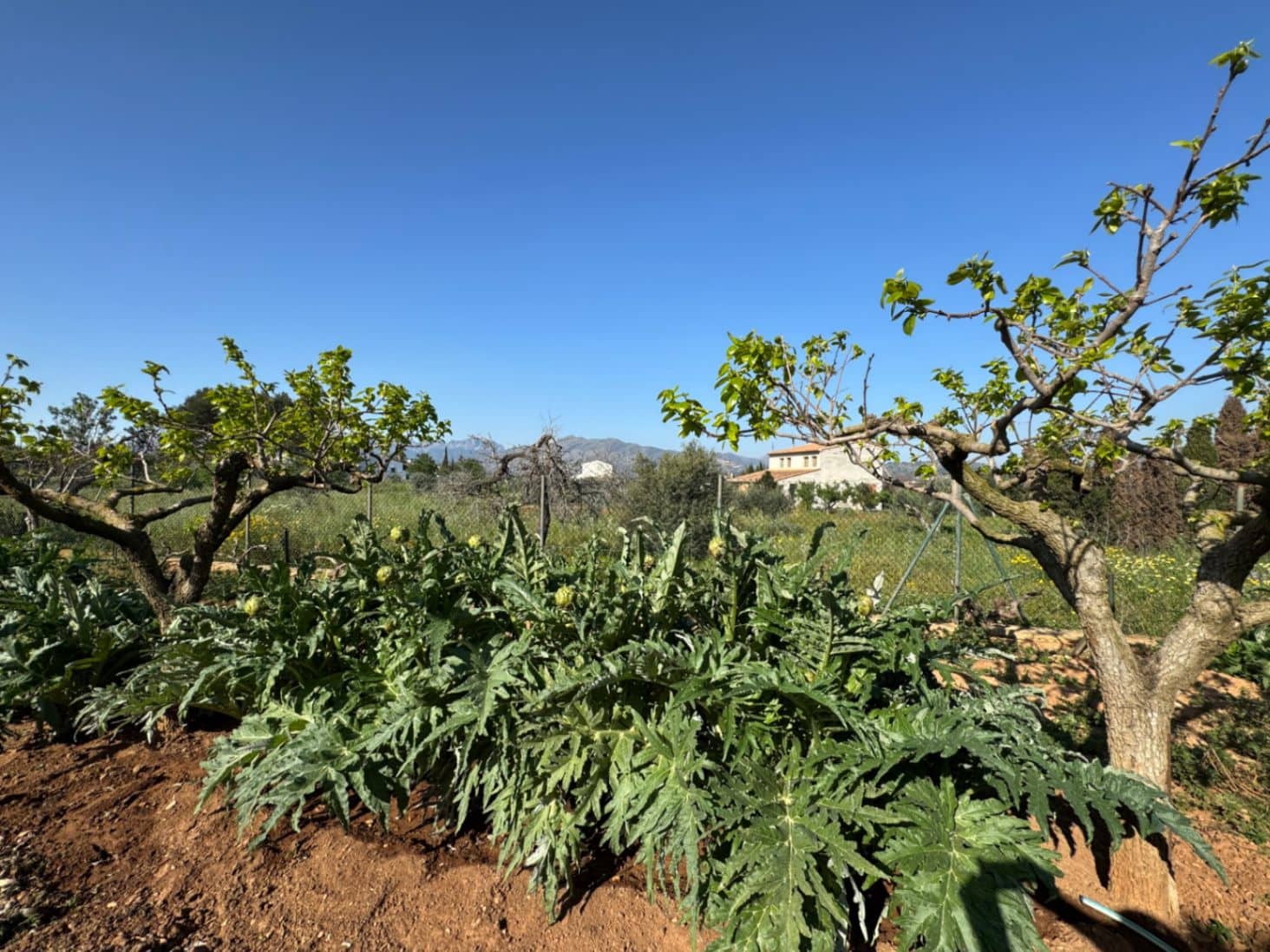 4 soveværelse Finca/Landehus til salg i Benissa med swimmingpool garage - € 650.000 (Ref: 8939301)