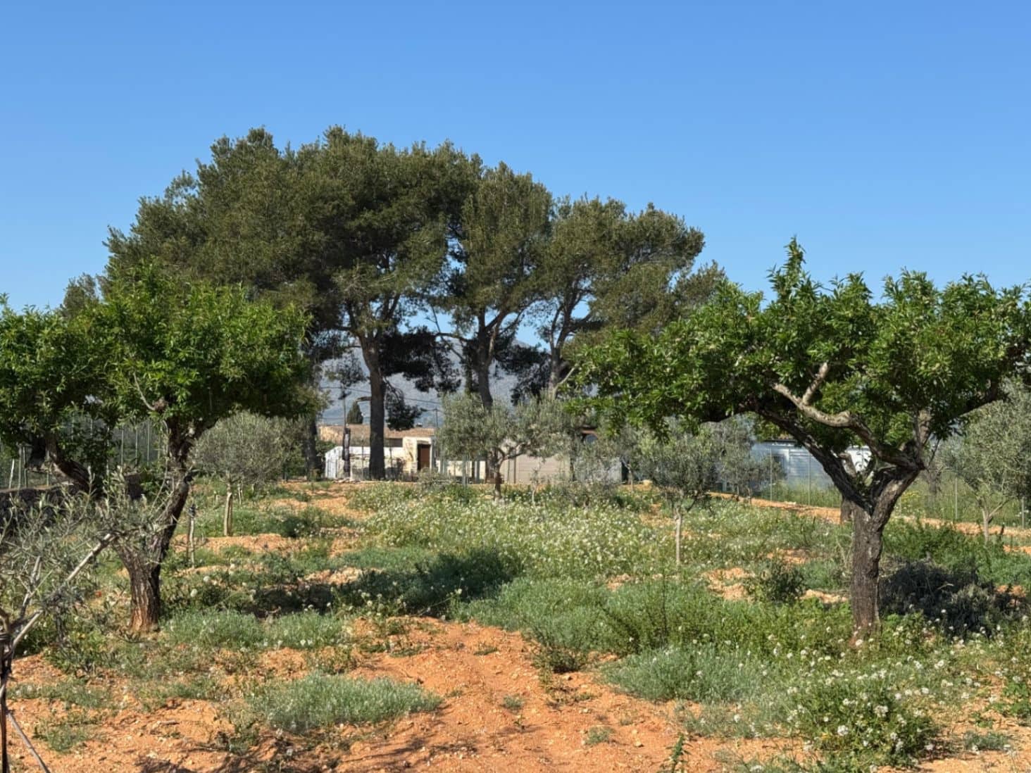 4 soveværelse Finca/Landehus til salg i Benissa med swimmingpool garage - € 650.000 (Ref: 8939301)