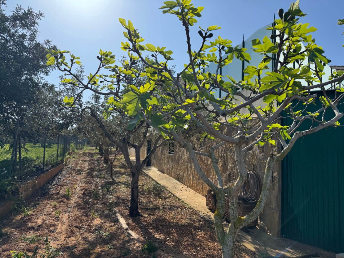 4 soveværelse Finca/Landehus til salg i Benissa med swimmingpool garage - € 650.000 (Ref: 8939301)