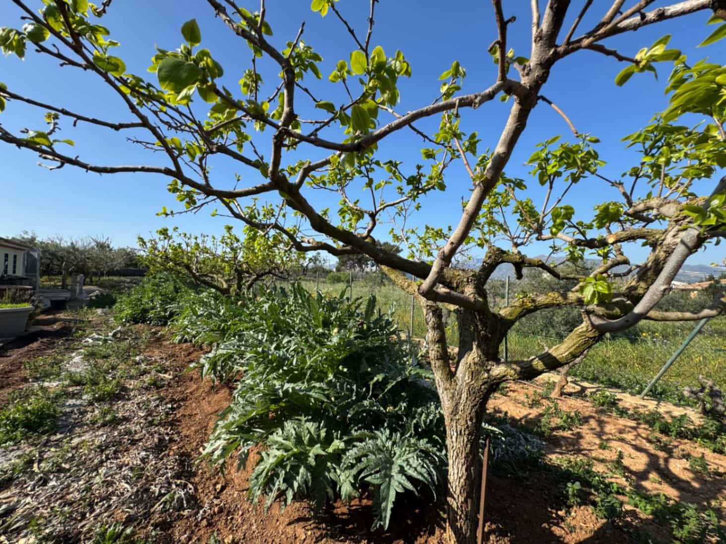 4 soveværelse Finca/Landehus til salg i Benissa med swimmingpool garage - € 650.000 (Ref: 8939301)