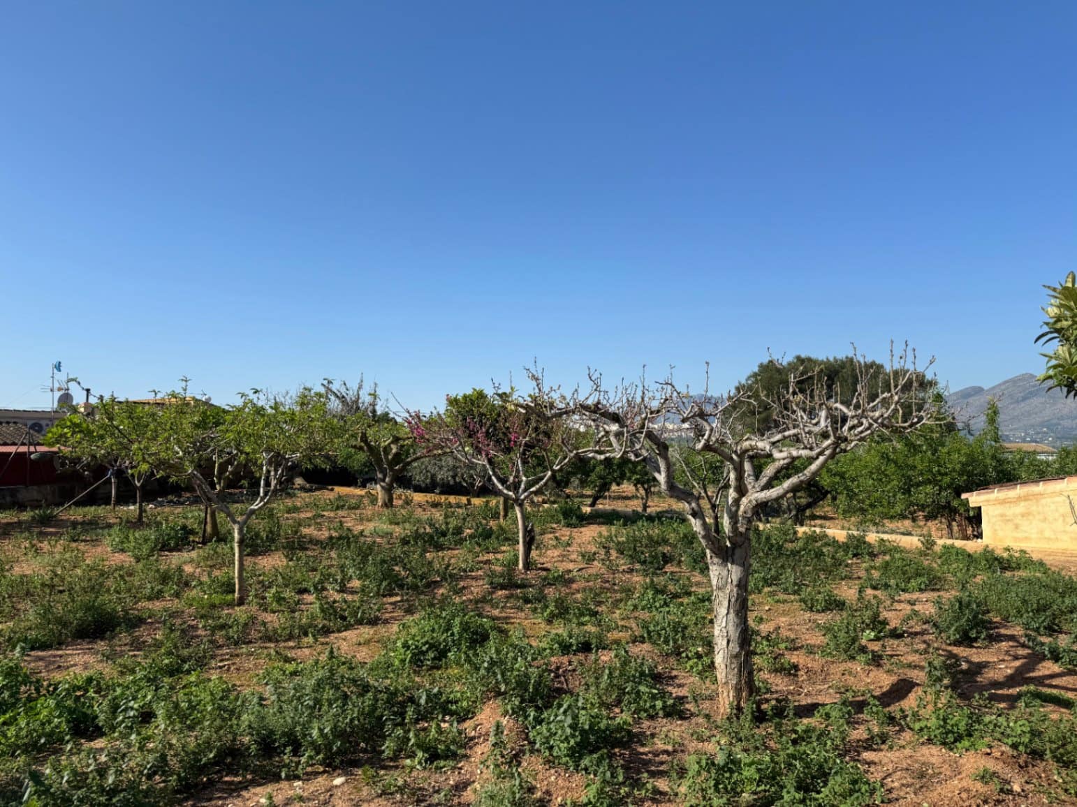 4 soveværelse Finca/Landehus til salg i Benissa med swimmingpool garage - € 650.000 (Ref: 8939301)