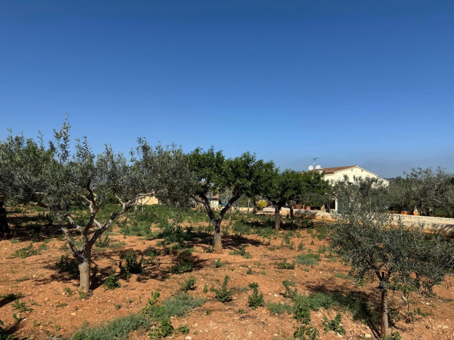 4 soveværelse Finca/Landehus til salg i Benissa med swimmingpool garage - € 650.000 (Ref: 8939301)