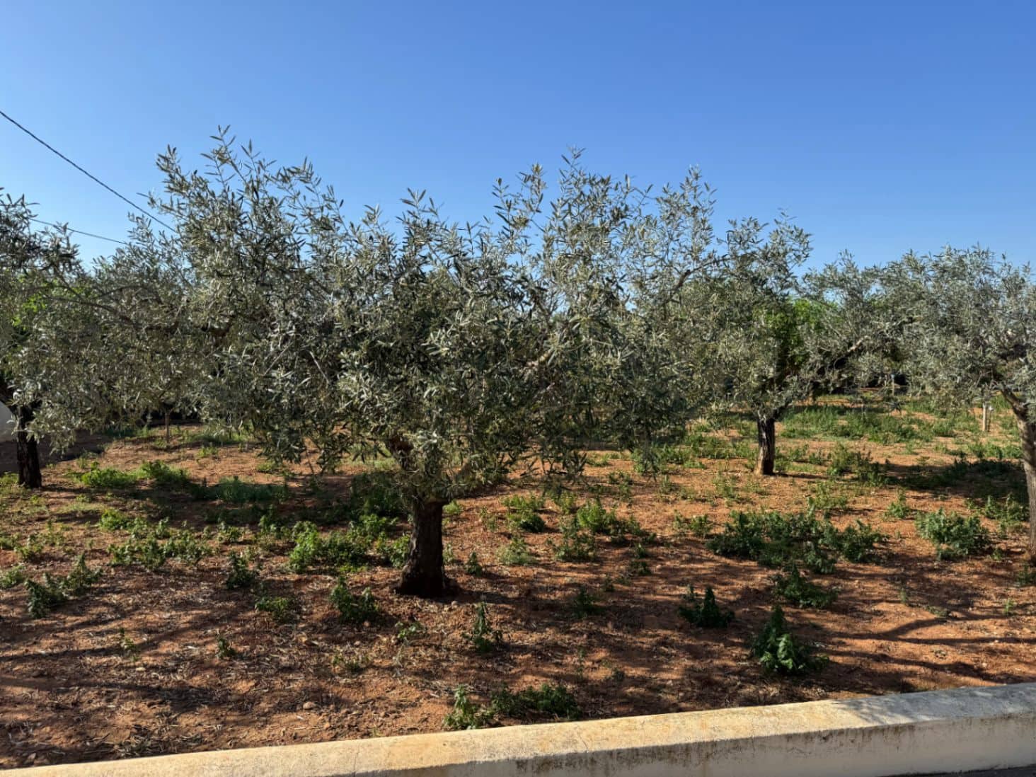 4 soveværelse Finca/Landehus til salg i Benissa med swimmingpool garage - € 650.000 (Ref: 8939301)