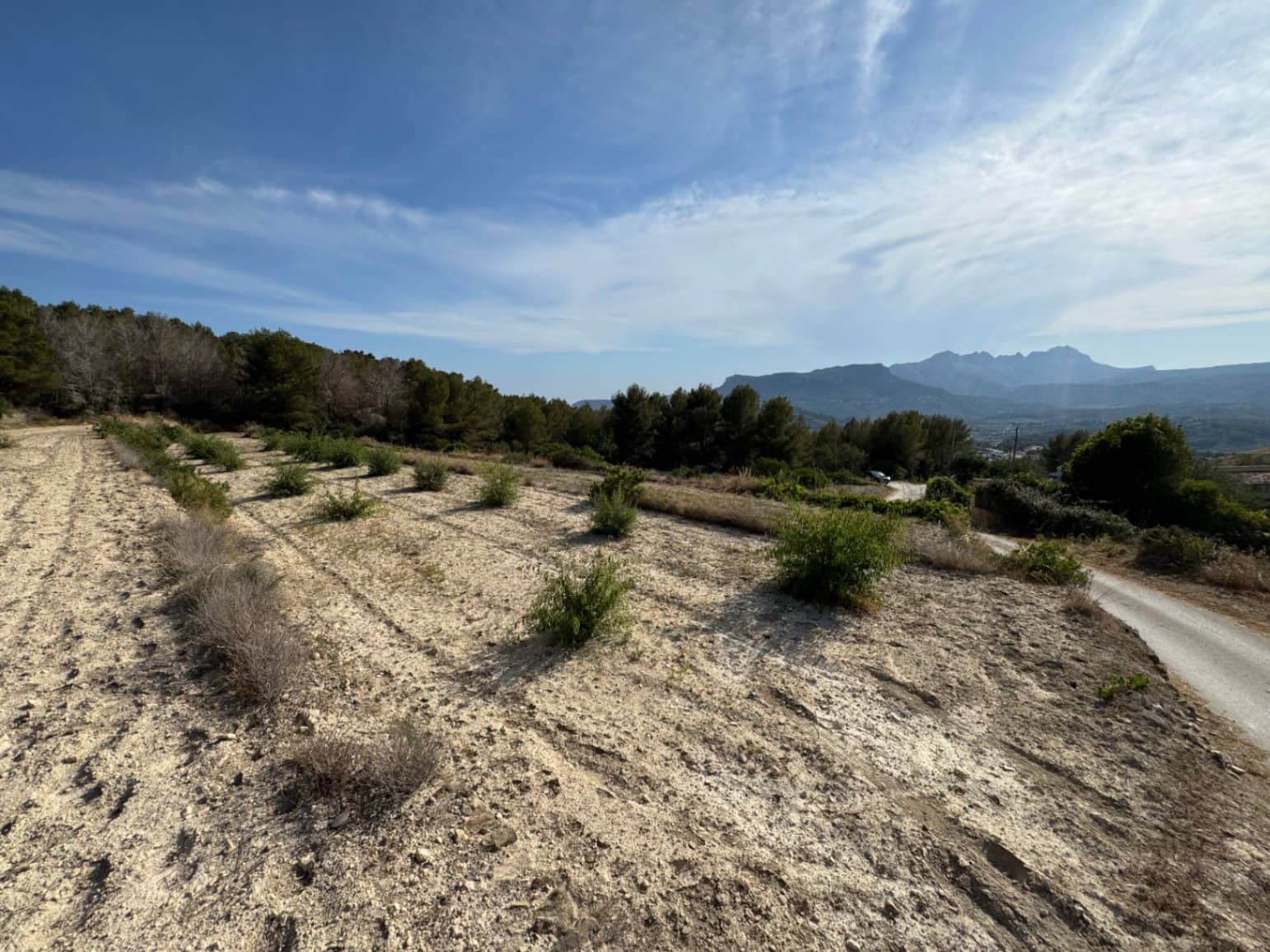 Terreno para Construção para venda em Pedramala - 200 000 € (Ref: 9108374)