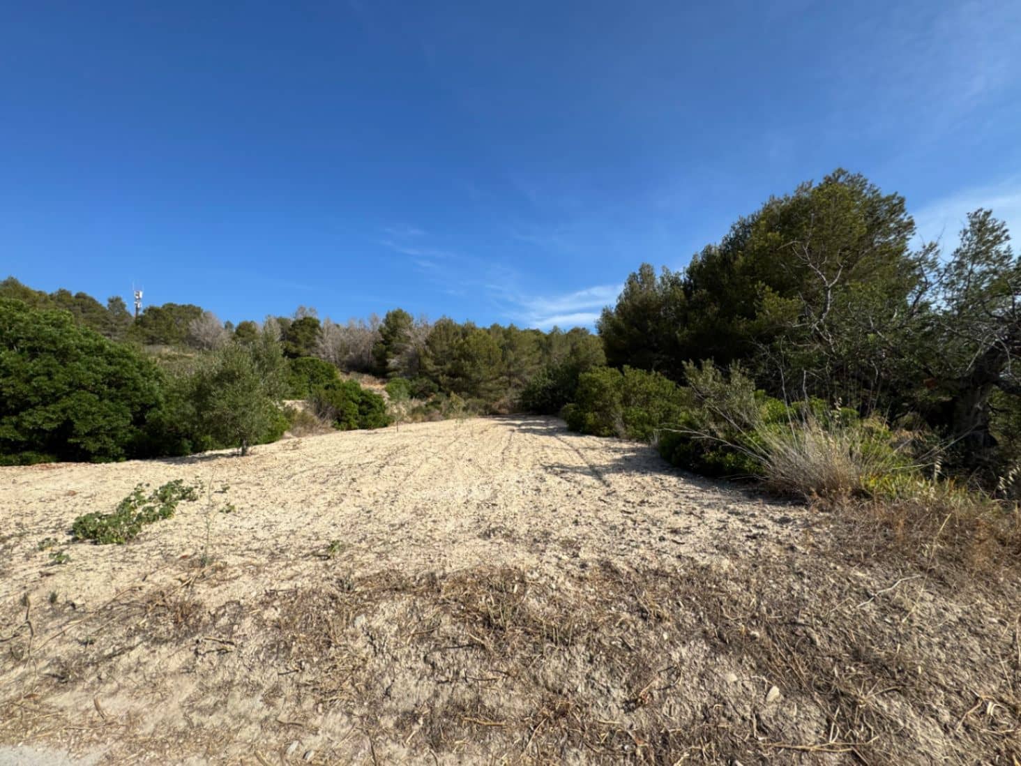 Terreno para Construção para venda em Pedramala - 200 000 € (Ref: 9108374)