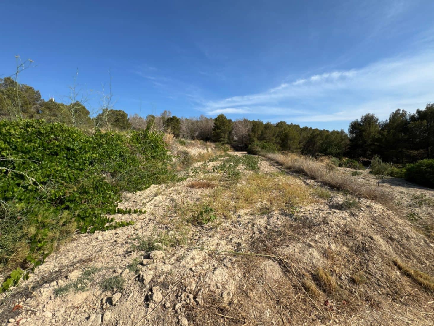 Terreno para Construção para venda em Pedramala - 200 000 € (Ref: 9108374)