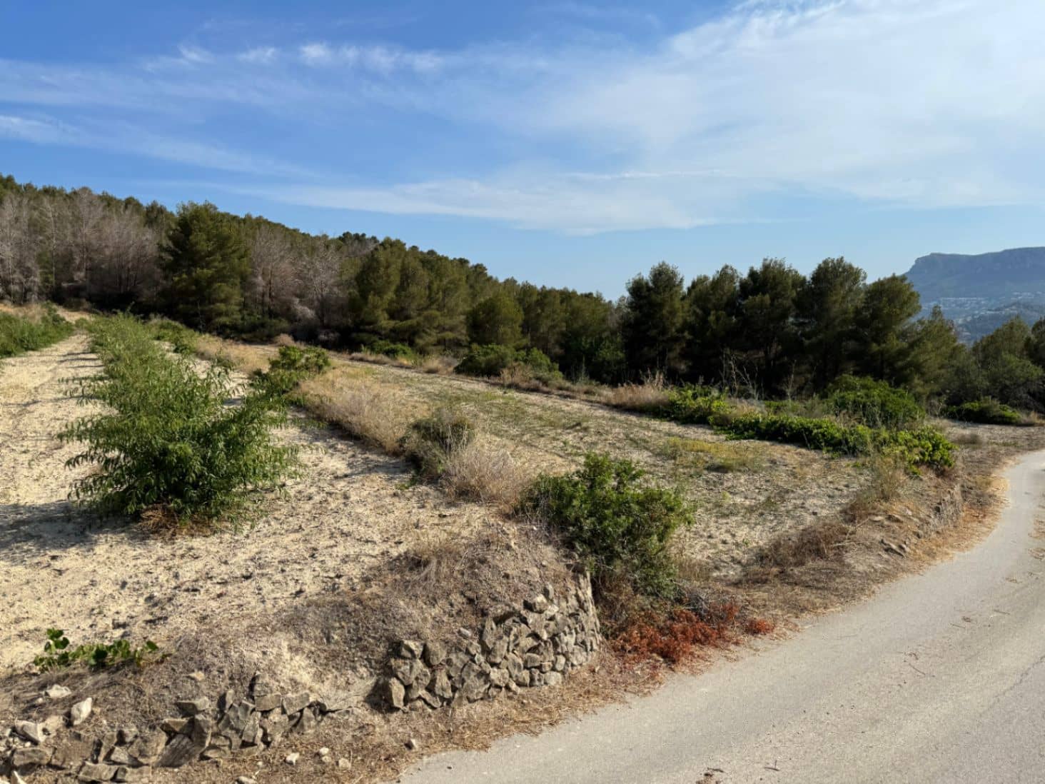 Terreno para Construção para venda em Pedramala - 200 000 € (Ref: 9108374)