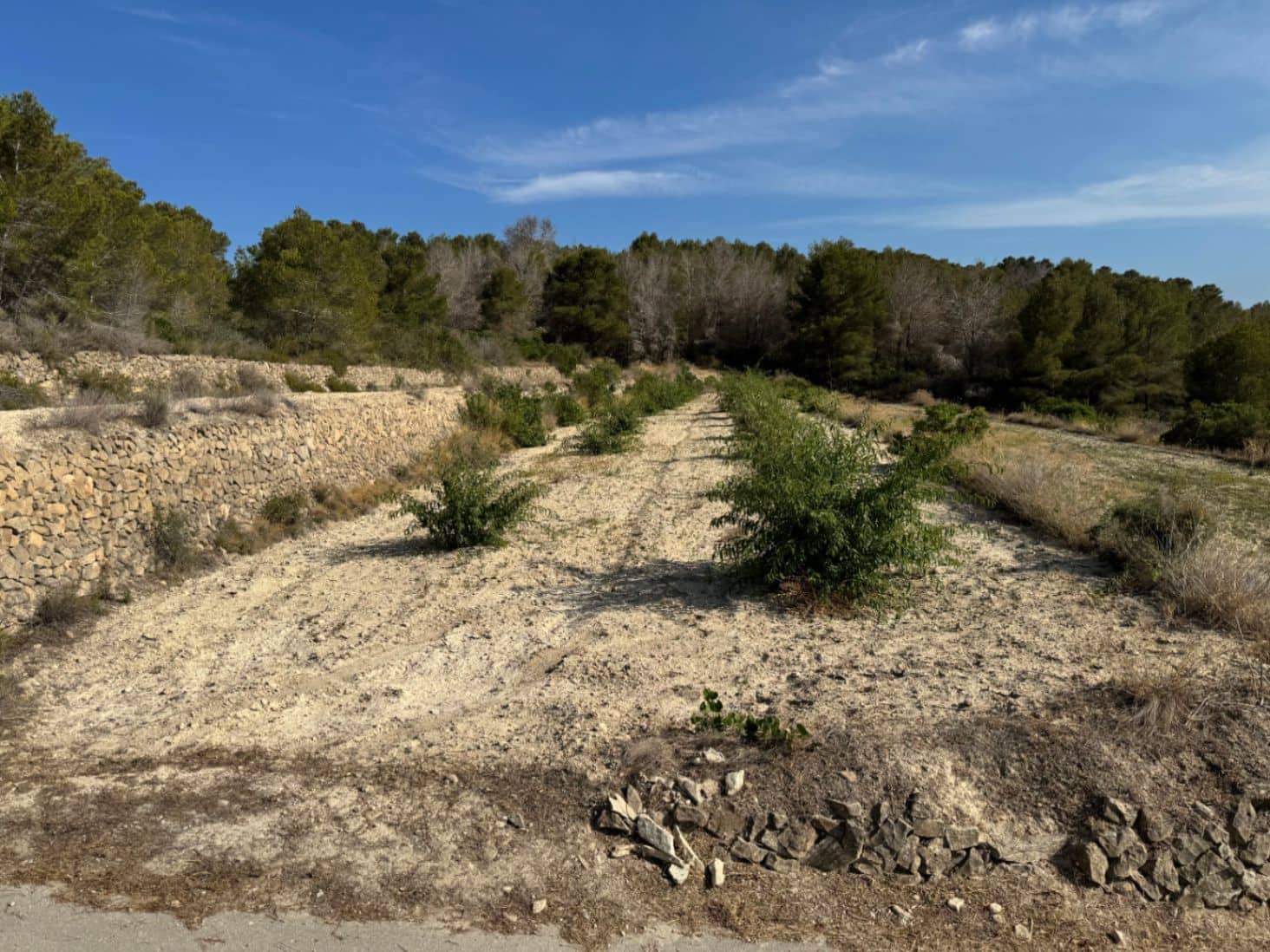 Terreno para Construção para venda em Pedramala - 200 000 € (Ref: 9108374)