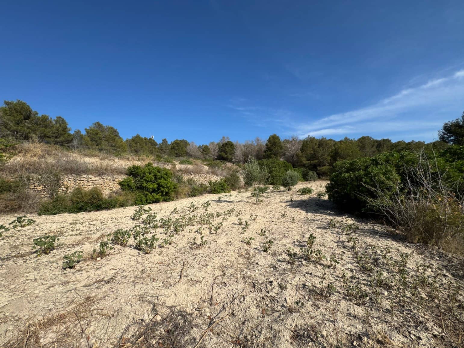 Terreno para Construção para venda em Pedramala - 200 000 € (Ref: 9108374)