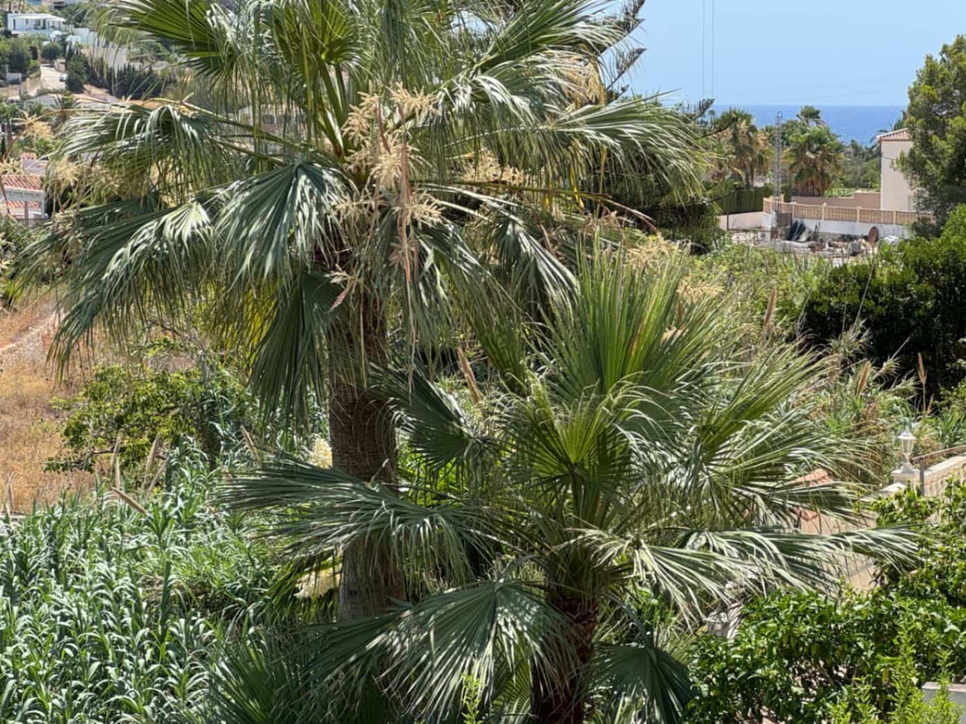 4 bedroom Villa for sale in Benissa with pool garage - € 615,000 (Ref: 9148782)