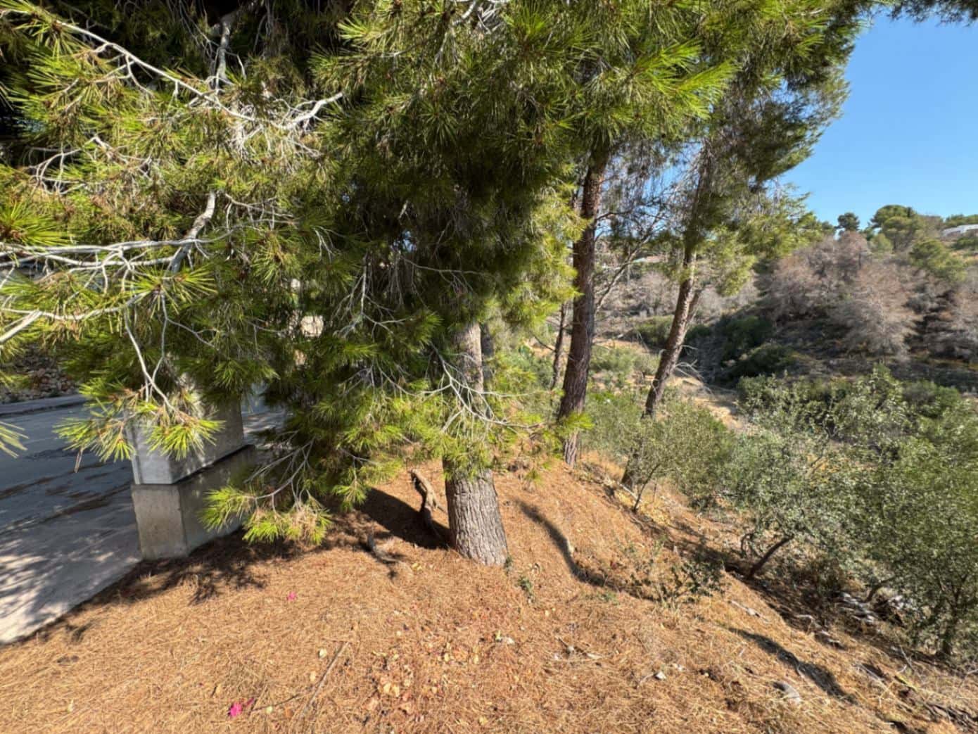 Bouwgrond te koop in Benissa - € 169.000 (Ref: 9148783)