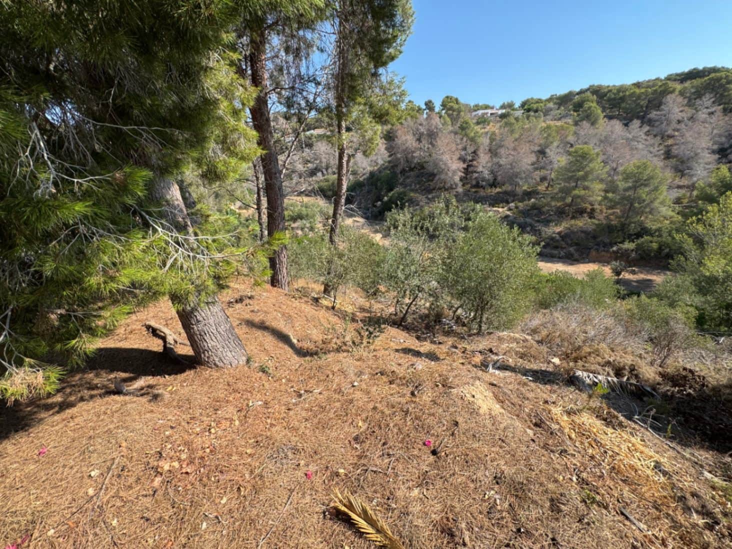 Bouwgrond te koop in Benissa - € 169.000 (Ref: 9148783)