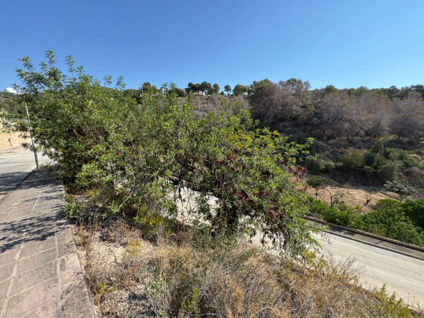 Bouwgrond te koop in Benissa - € 169.000 (Ref: 9148783)