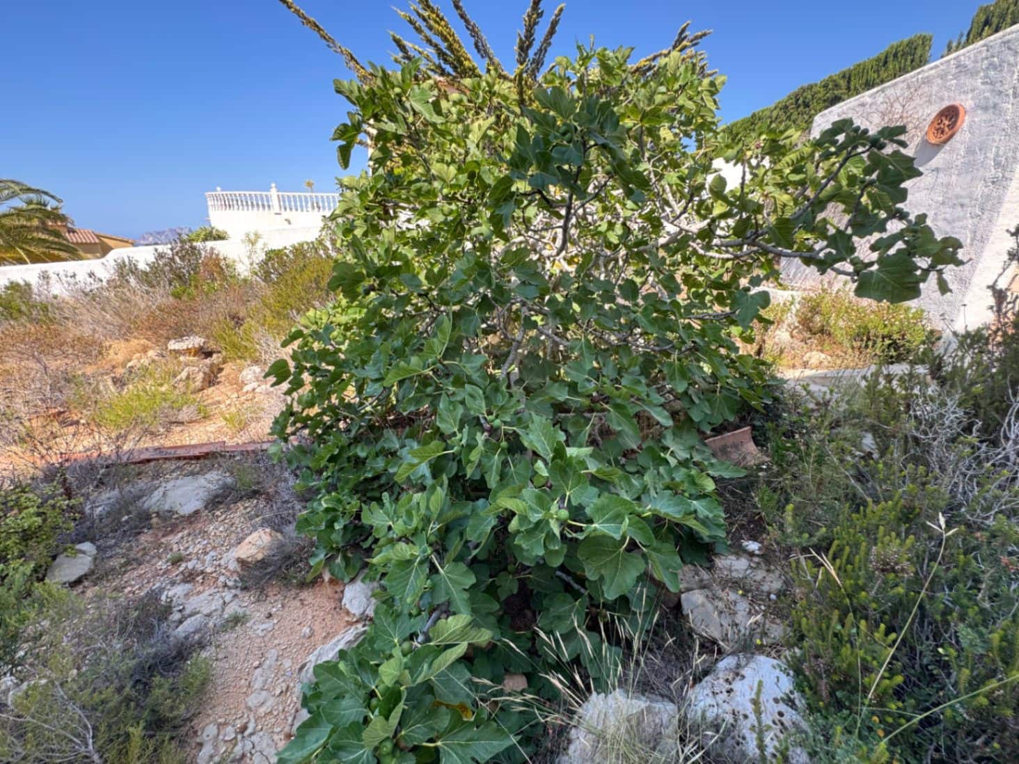 3 Zimmer Villa zu verkaufen in Cumbre del Sol - 400.000 € (Ref: 9202150)