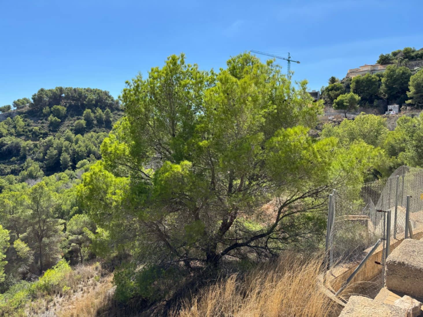 Terrain à Bâtir à vendre à Javea / Xabia - 200 000 € (Ref: 9242668)