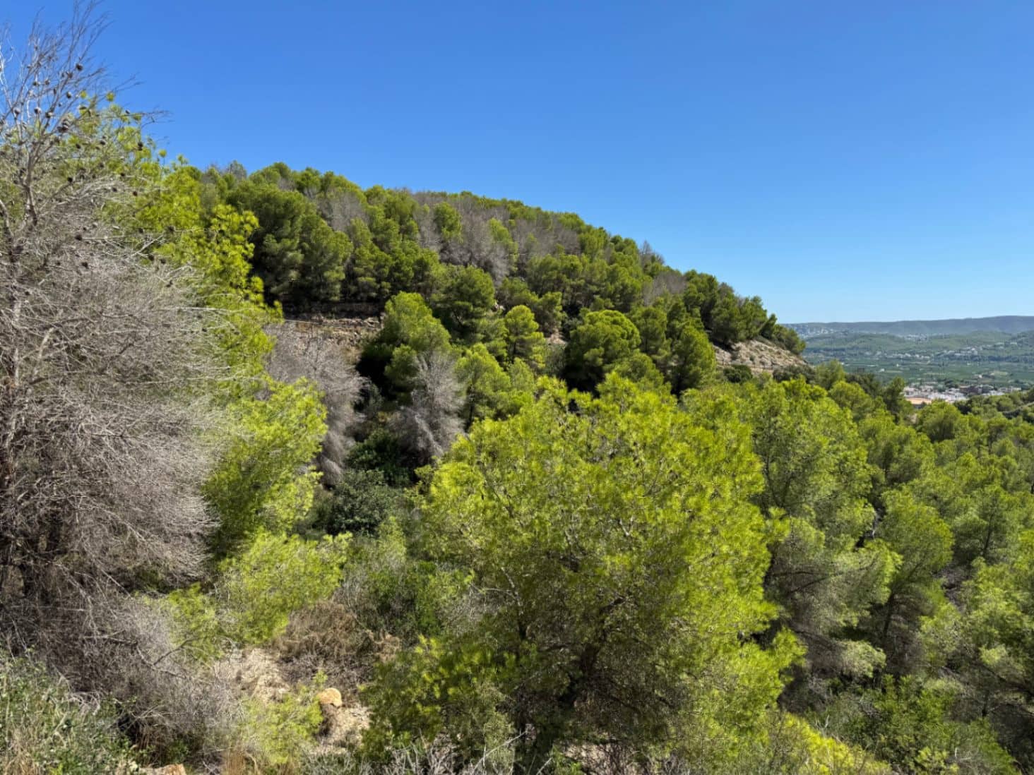 Terrain à Bâtir à vendre à Javea / Xabia - 200 000 € (Ref: 9242668)