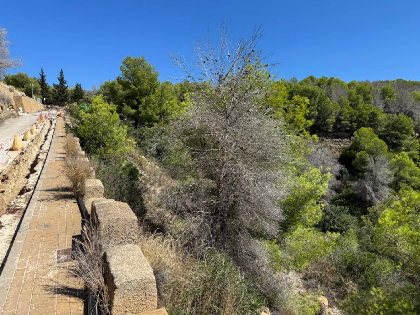 Terrain à Bâtir à vendre à Javea / Xabia - 200 000 € (Ref: 9242668)