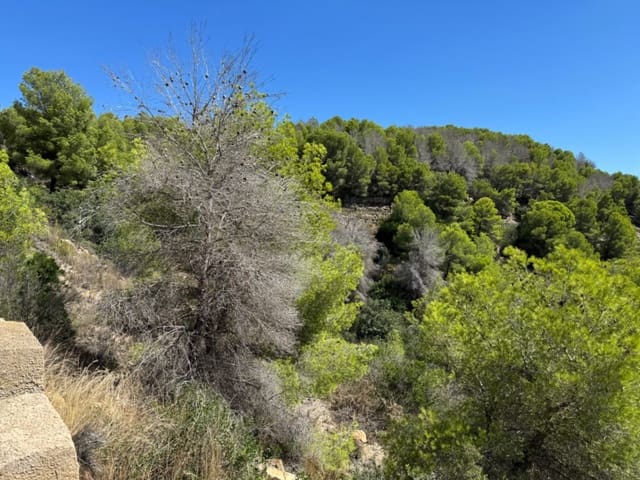 Byggetomt til salgs i Javea / Xàbia - € 200 000 (Ref: 9242668)