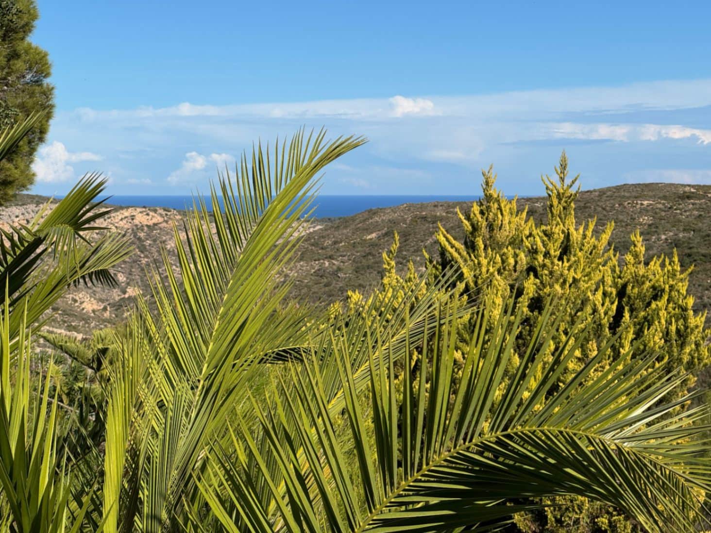 Bouwgrond te koop in Cumbre del Sol - € 120.000 (Ref: 9436629)