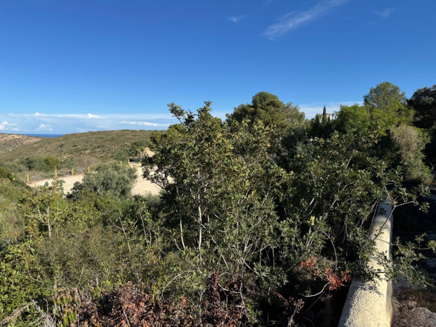 Bouwgrond te koop in Cumbre del Sol - € 120.000 (Ref: 9436629)