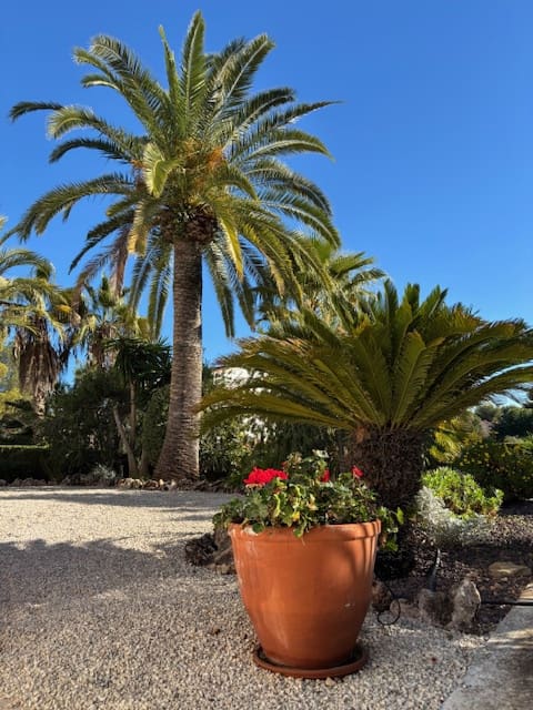 3 quarto Moradia para venda em Moraira com piscina garagem - 695 000 € (Ref: 9471997)