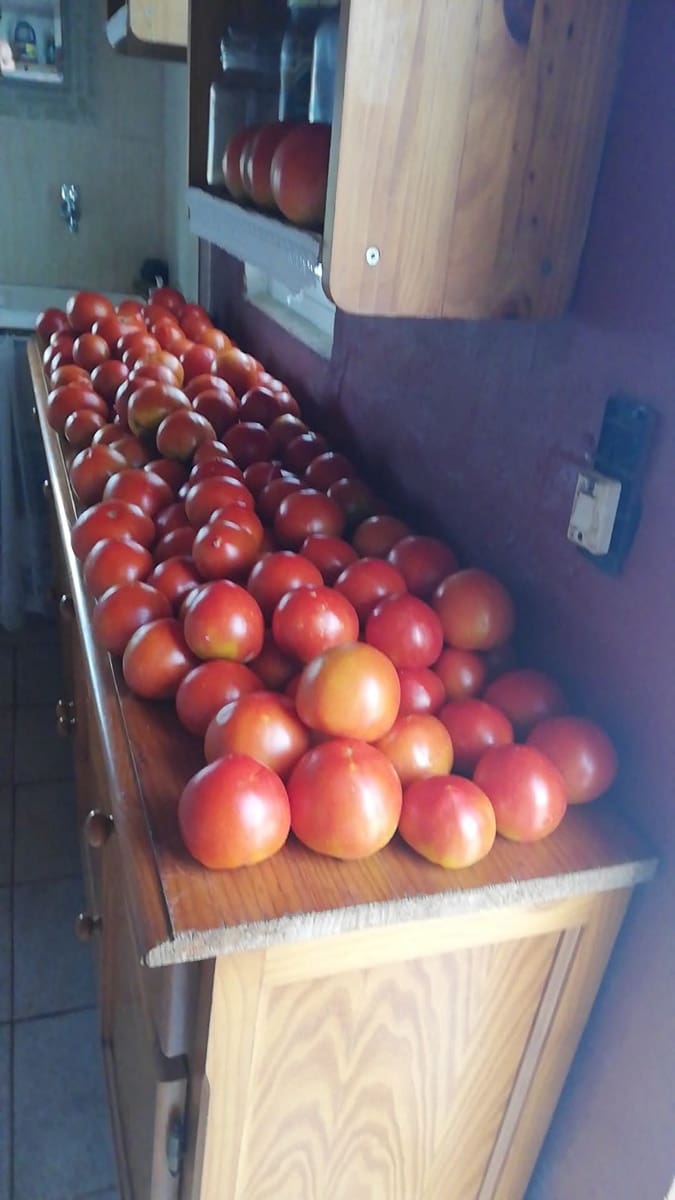 2 sovrum Finca/Hus på landet till salu i Ondara med garage - 207 000 € (Ref: 9503705)