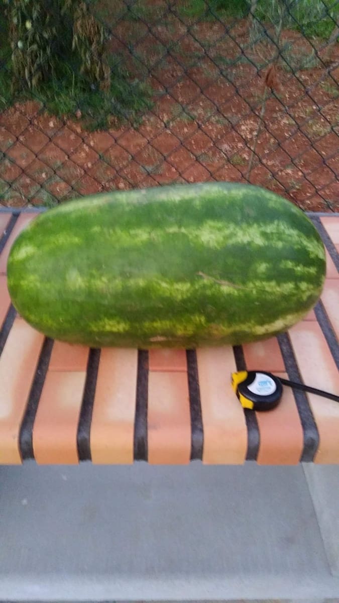 2 sovrum Finca/Hus på landet till salu i Ondara med garage - 207 000 € (Ref: 9503705)