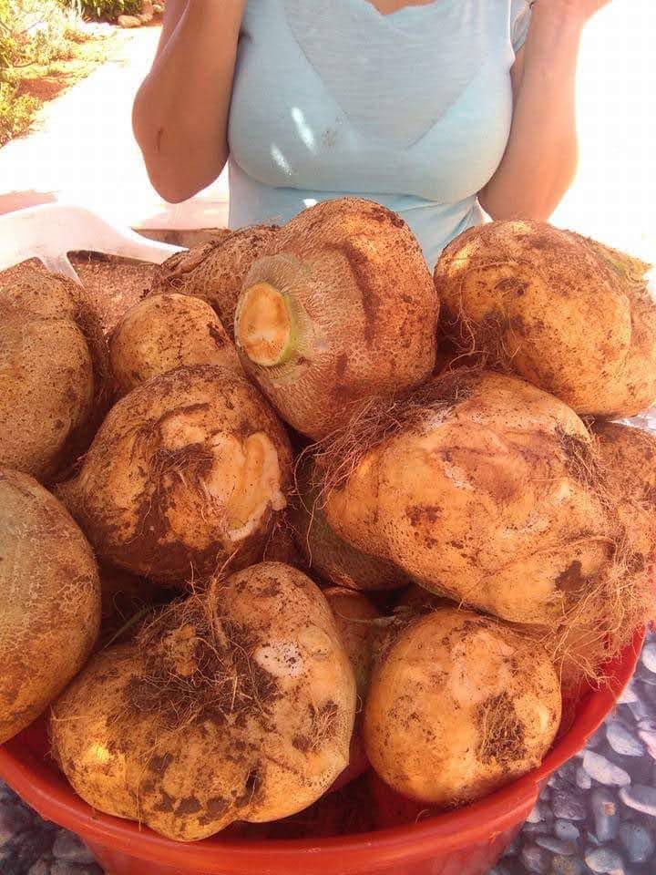 2 sovrum Finca/Hus på landet till salu i Ondara med garage - 207 000 € (Ref: 9503705)