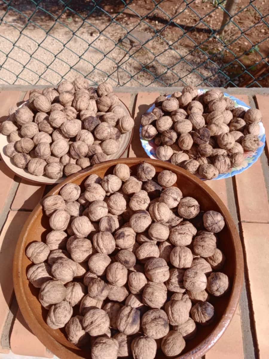 2 sovrum Finca/Hus på landet till salu i Ondara med garage - 207 000 € (Ref: 9503705)