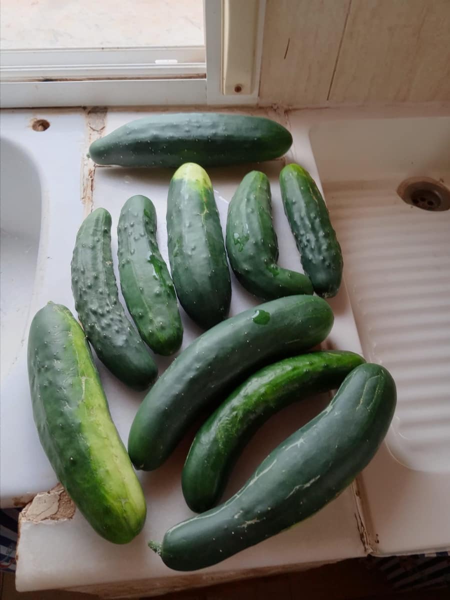 2 sovrum Finca/Hus på landet till salu i Ondara med garage - 207 000 € (Ref: 9503705)