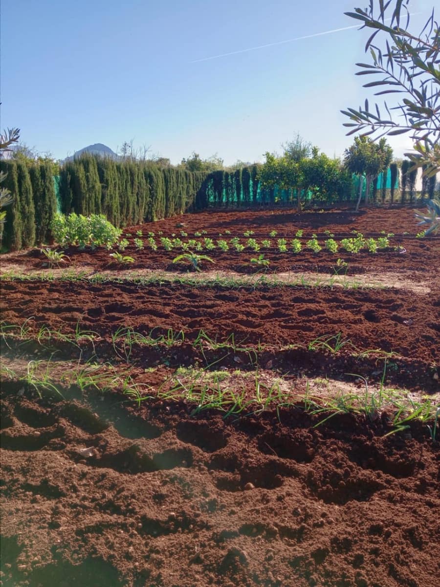 2 sovrum Finca/Hus på landet till salu i Ondara med garage - 207 000 € (Ref: 9503705)