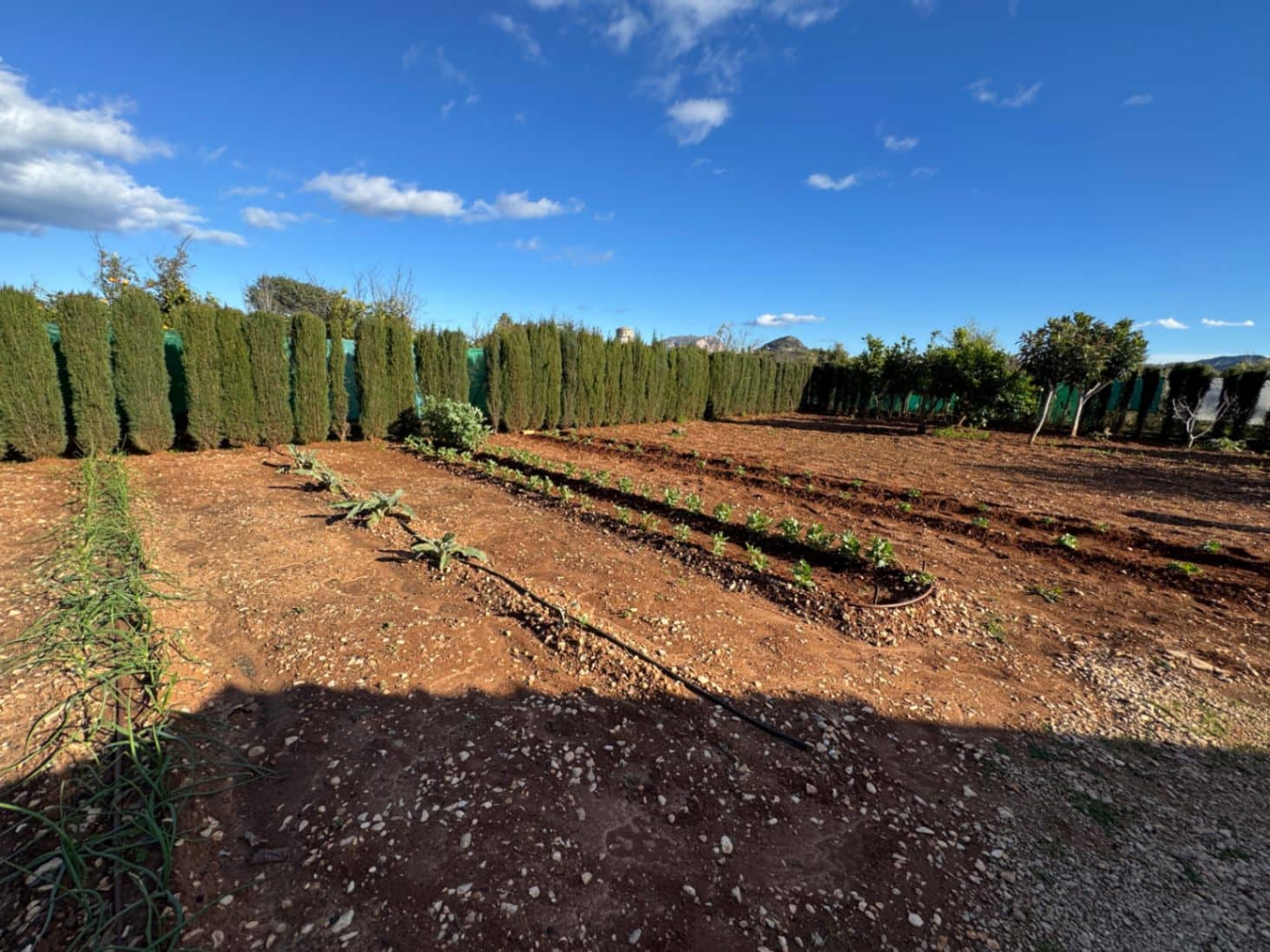 2 sovrum Finca/Hus på landet till salu i Ondara med garage - 207 000 € (Ref: 9503705)