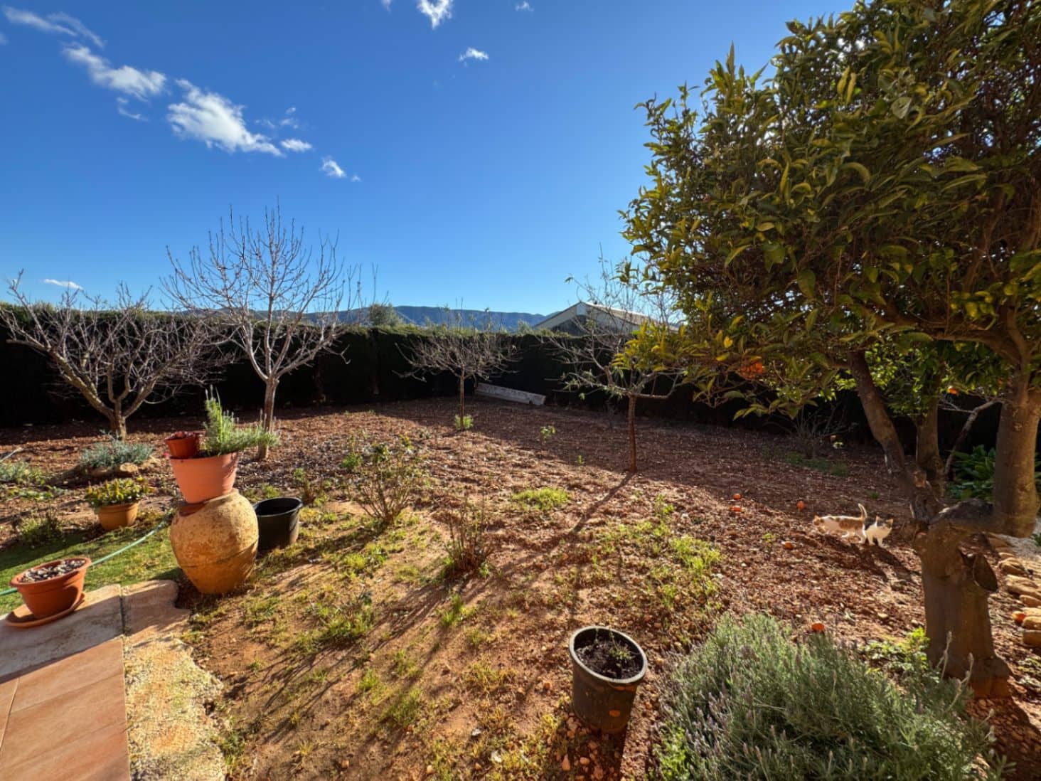 2 sovrum Finca/Hus på landet till salu i Ondara med garage - 207 000 € (Ref: 9503705)