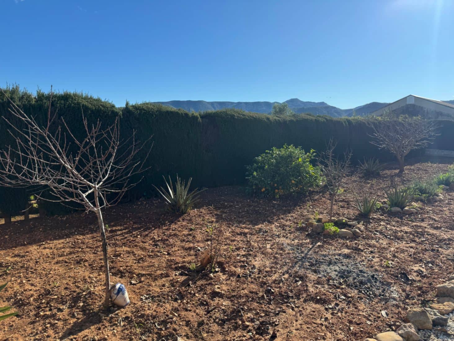 2 sovrum Finca/Hus på landet till salu i Ondara med garage - 207 000 € (Ref: 9503705)