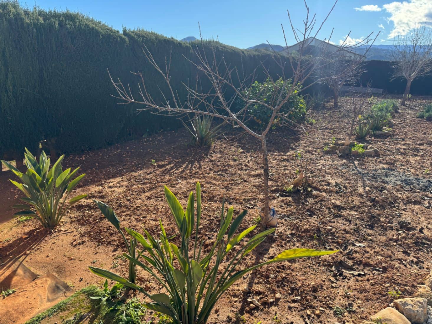 2 sovrum Finca/Hus på landet till salu i Ondara med garage - 207 000 € (Ref: 9503705)