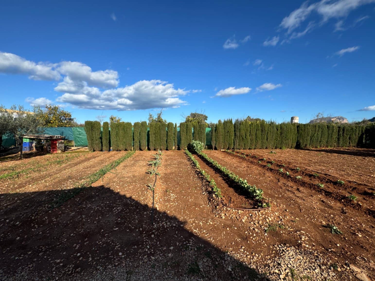 2 sovrum Finca/Hus på landet till salu i Ondara med garage - 207 000 € (Ref: 9503705)