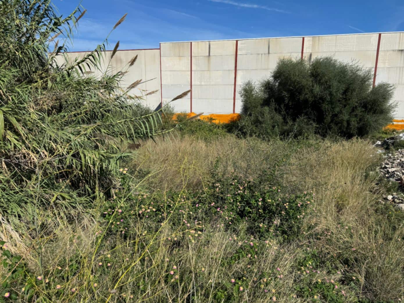 Solar/Parcela en Pego en venta - 75.000 € (Ref: 9576886)