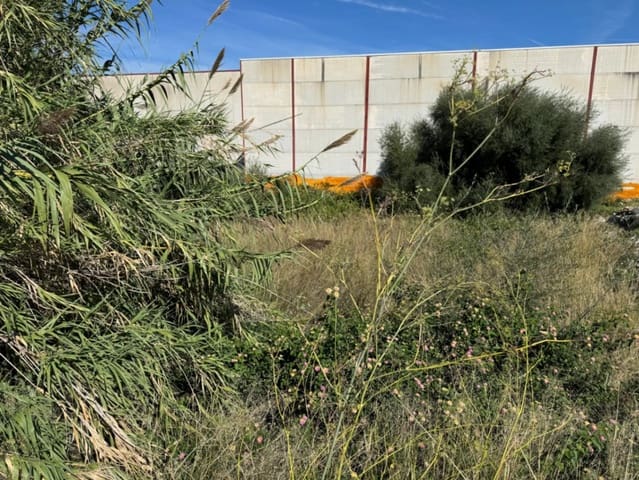 Działka budowlana na sprzedaż w Pego - 75 000 € (Ref: 9576886)