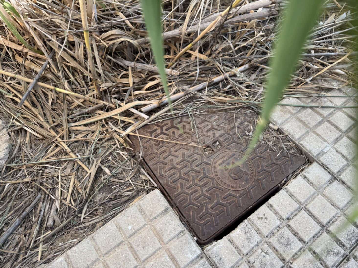 Solar/Parcela en Pego en venta - 75.000 € (Ref: 9576886)