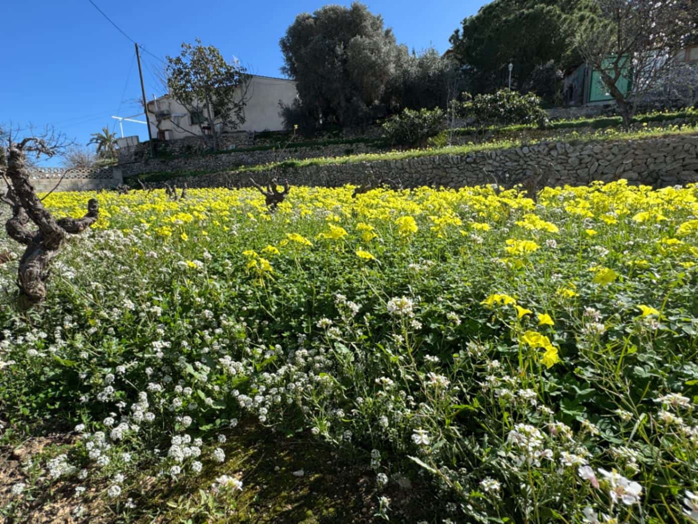 6 sypialnia Willa na sprzedaż w Benissa z basenem garażem - 890 000 € (Ref: 9639916)