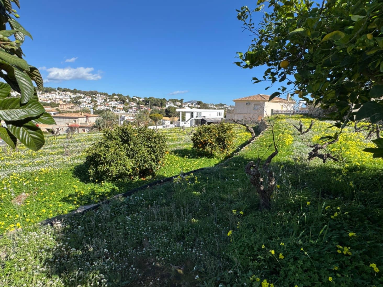 6 sypialnia Willa na sprzedaż w Benissa z basenem garażem - 890 000 € (Ref: 9639916)