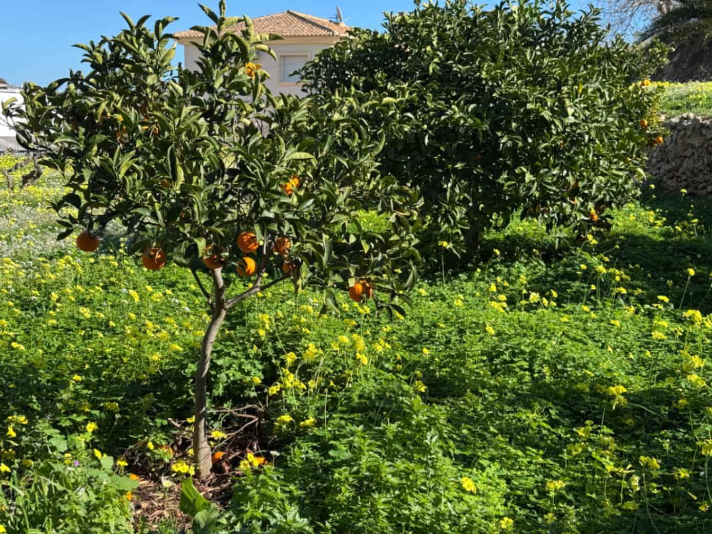 6 sypialnia Willa na sprzedaż w Benissa z basenem garażem - 890 000 € (Ref: 9639916)