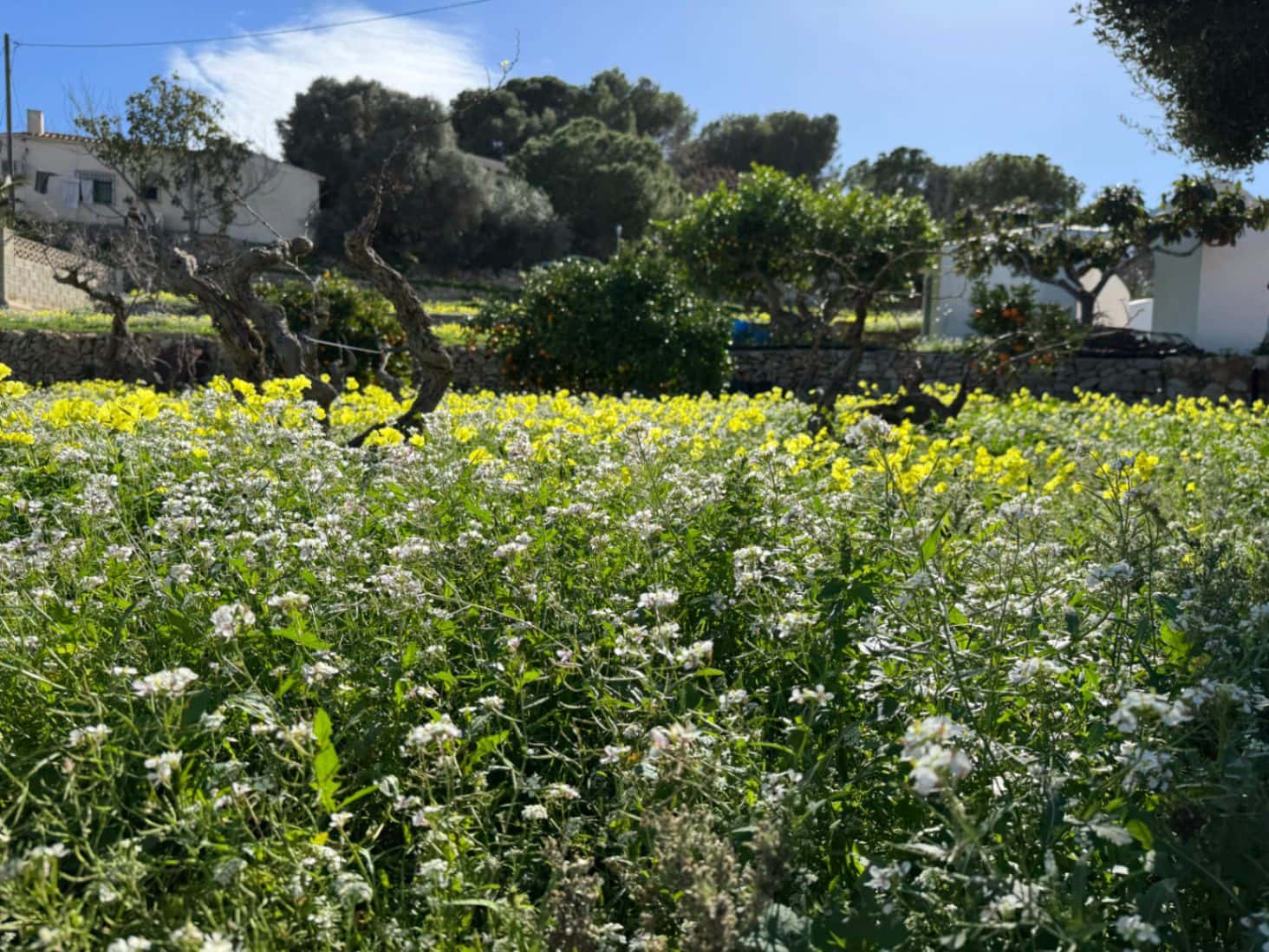 6 sypialnia Willa na sprzedaż w Benissa z basenem garażem - 890 000 € (Ref: 9639916)