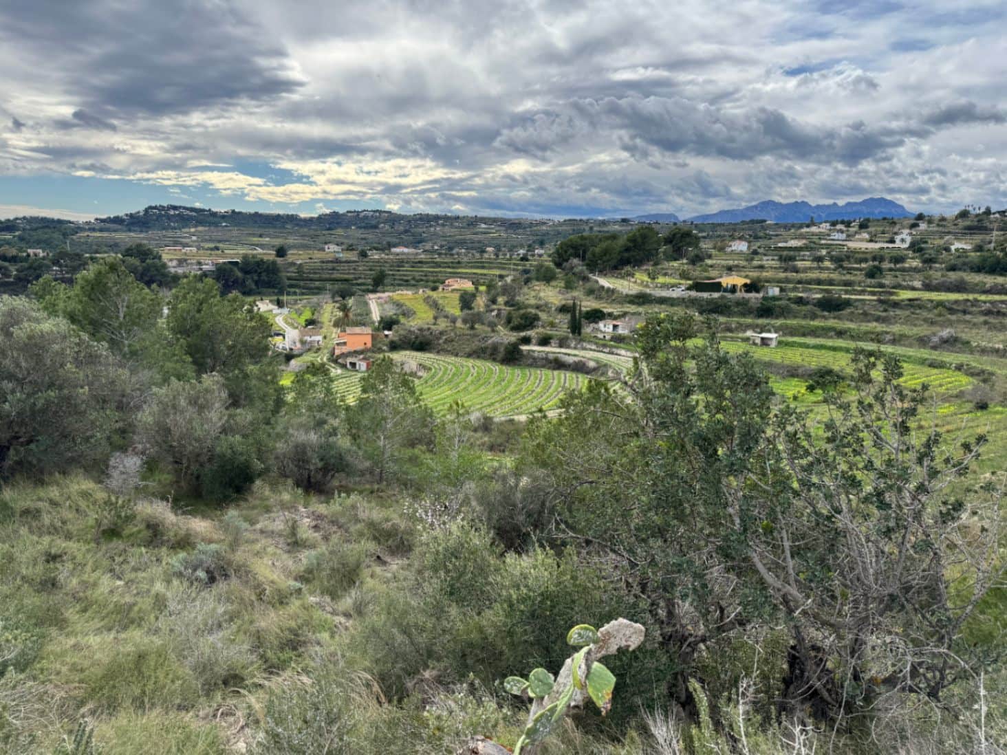 Area Edificabile in vendita in Teulada - 275.000 € (Rif: 9639918)