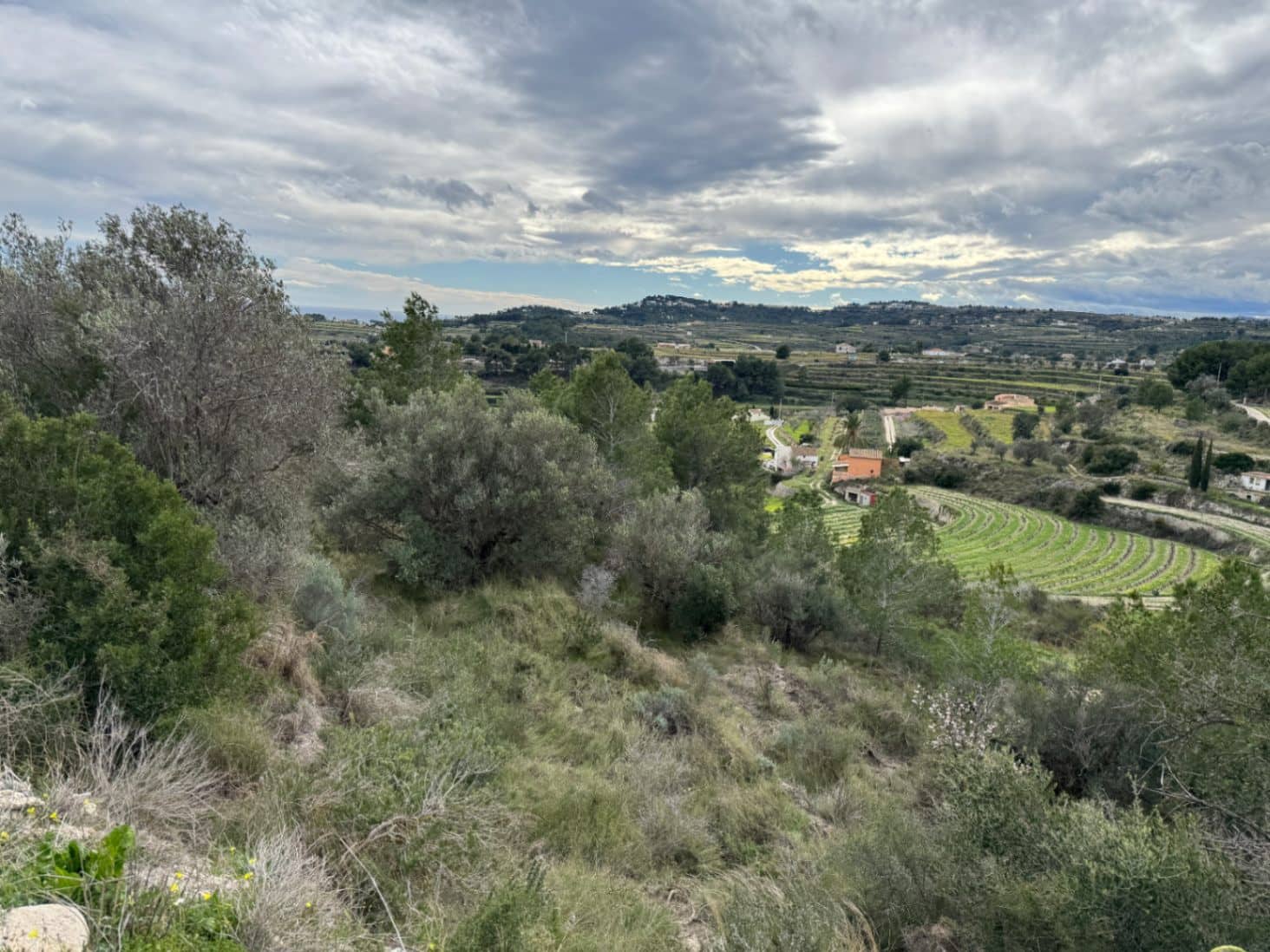 Area Edificabile in vendita in Teulada - 275.000 € (Rif: 9639918)